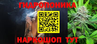 твердый Партизанск