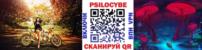 закладка  Иркутск  Псилоцибиновые грибы мухоморы 