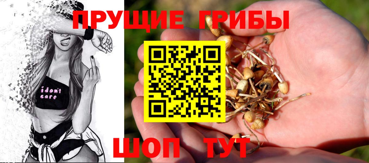 Иркутск  Псилоцибиновые грибы GOLDEN TEACHER  Вход с VPN 